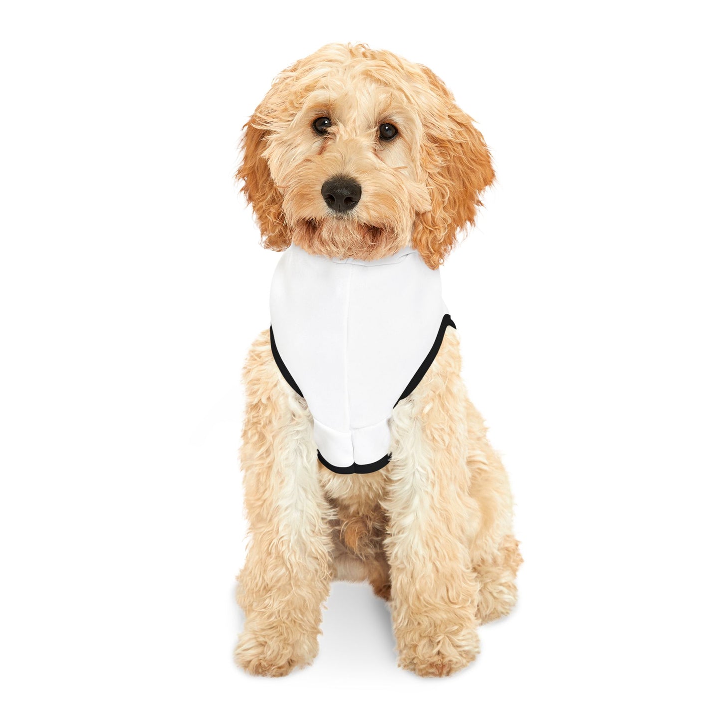 Moonbeam Co. Pet Hoodie - Cozy Dog Sweatshirt, Stylish Pet Apparel, Cute Dog Outfit, Perfect for Gift, Everyday Wear